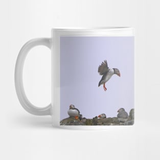 Puffin Coming In To Land - Farne Islands Mug